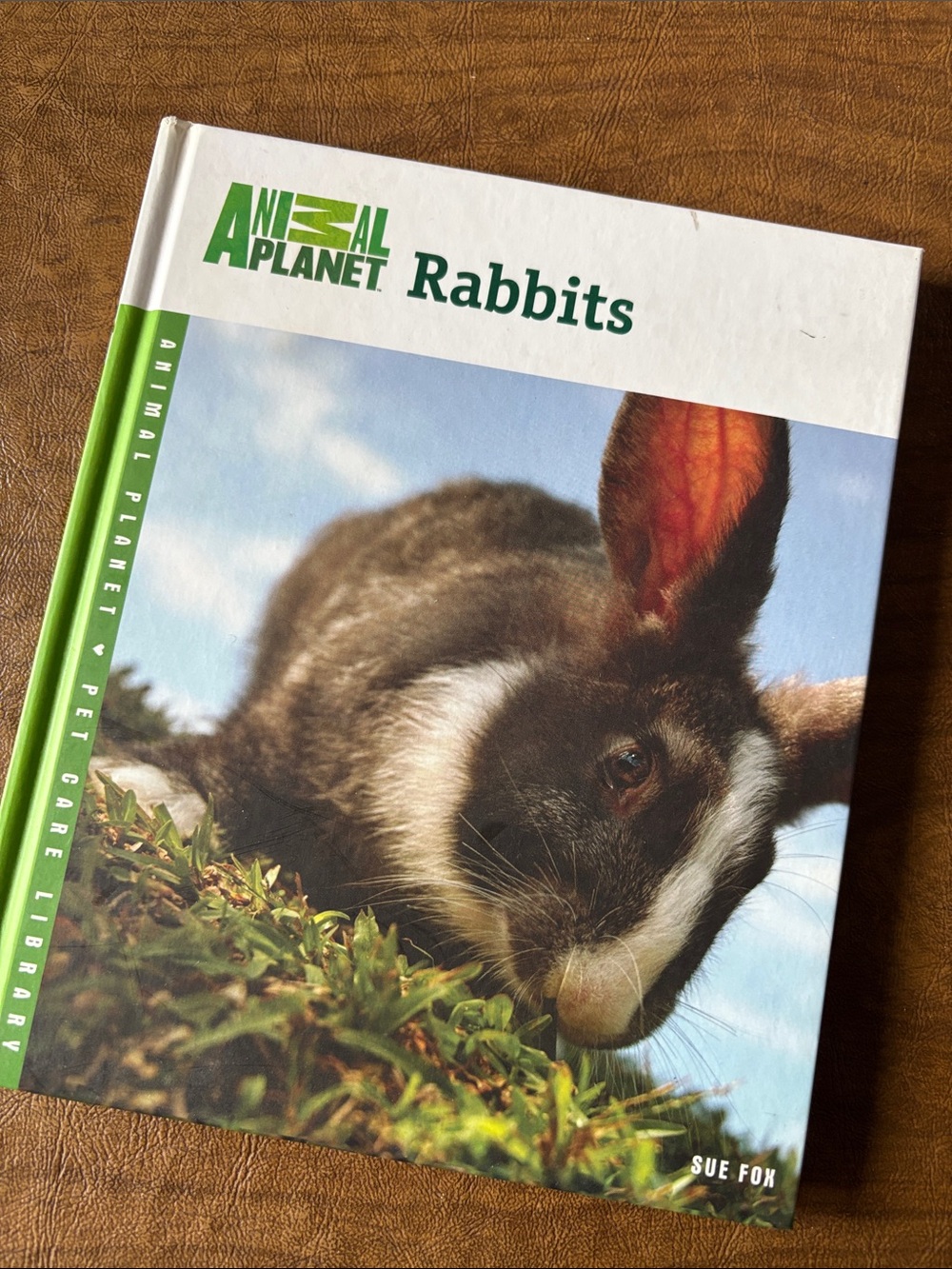 Animal Planet- Rabbits Book